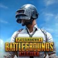 pubg体验服和平精英