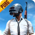 pubg国际服手游最新版下载