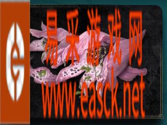 /handbook/2022/02-22/1463.shtml