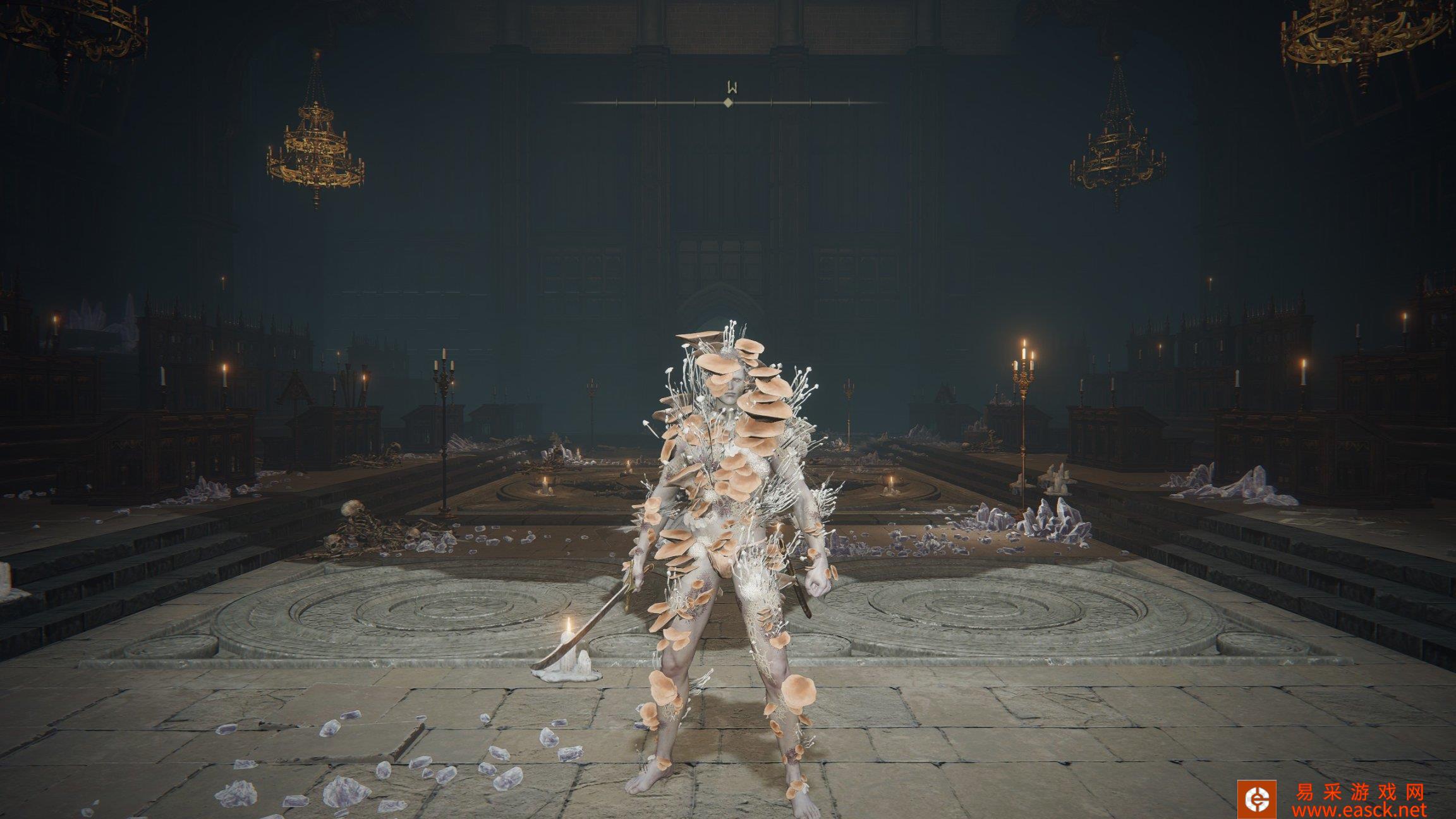 艾尔登法环蘑菇套装获取位置一览