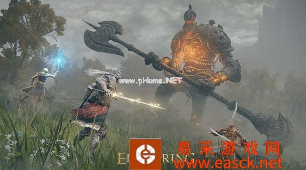 《艾尔登法环》官方禁止日本主播接受观众打赏