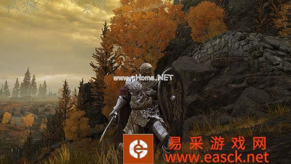 《艾尔登法环》官方禁止日本主播接受观众打赏