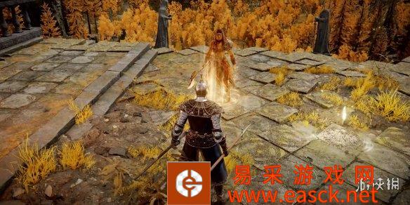 《老头环》太火！男子在成年网站花2万美元找美女陪玩