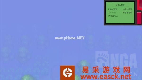 《宝可梦晶灿钻石明亮珍珠》家缘道馆210号道路北侧攻略