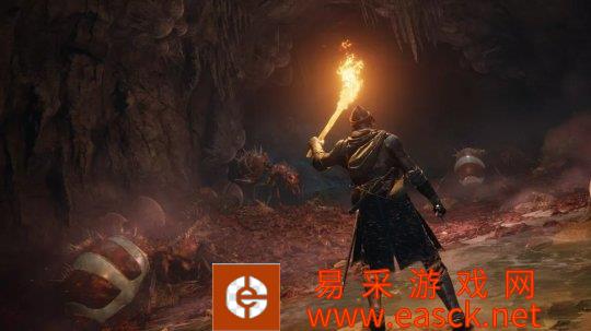 宫崎英高表示很喜欢《艾尔登法环》有毒沼泽