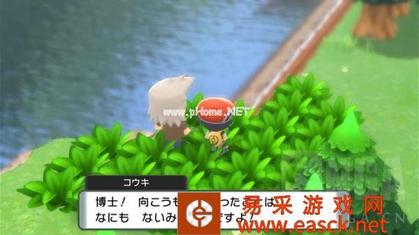 《宝可梦晶灿钻石明亮珍珠》201号道路心齐湖攻略