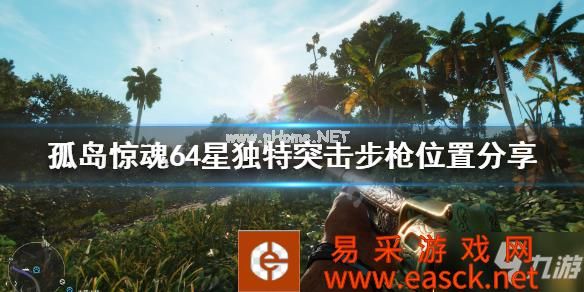 《孤岛惊魂6》4星独特突击步枪在哪