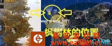 《和平精英》枫叶林秋千坐标