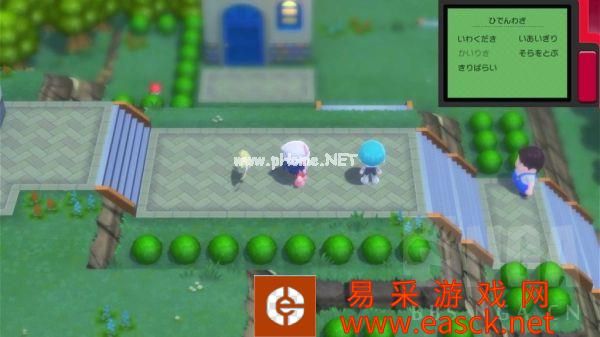 《宝可梦晶灿钻石明亮珍珠》家缘道馆湿原市攻略