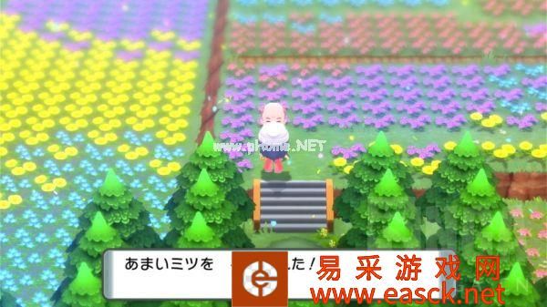 《宝可梦晶灿钻石明亮珍珠》百代道馆索诺花田攻略