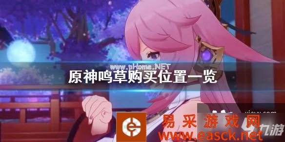 《原神》鸣草在哪买？鸣草购买位置一览
