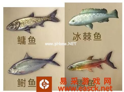 《明日之后》8月15日新增鱼种汇总 