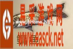 《明日之后》鳙鱼获取攻略