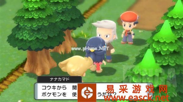 《宝可梦晶灿钻石明亮珍珠》201号道路心齐湖攻略