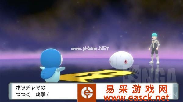 《宝可梦晶灿钻石明亮珍珠》百代道馆索诺花田攻略