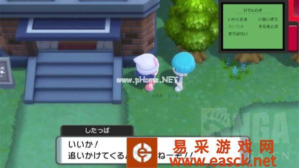 《宝可梦晶灿钻石明亮珍珠》家缘道馆湿原市攻略