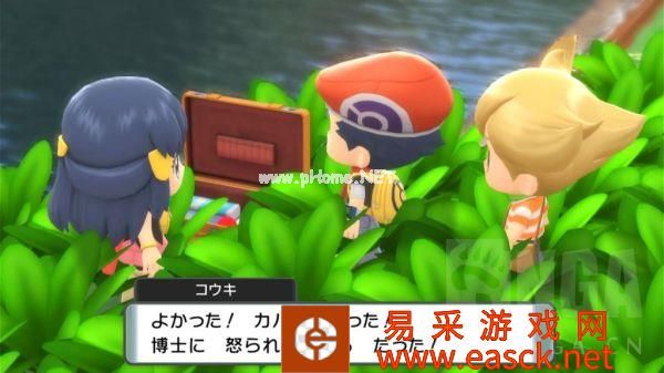《宝可梦晶灿钻石明亮珍珠》201号道路心齐湖攻略