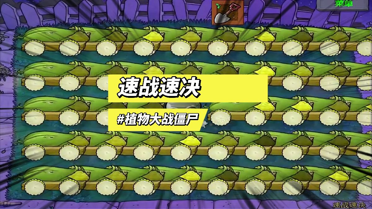 植物大战僵尸:速战速决#植物大战僵尸 #单机游戏