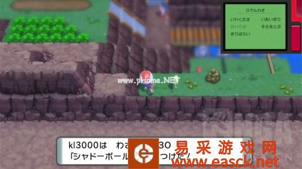 《宝可梦晶灿钻石明亮珍珠》家缘道馆210号道路北侧攻略