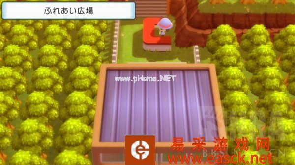 《宝可梦晶灿钻石明亮珍珠》道馆绿缘市图文攻略