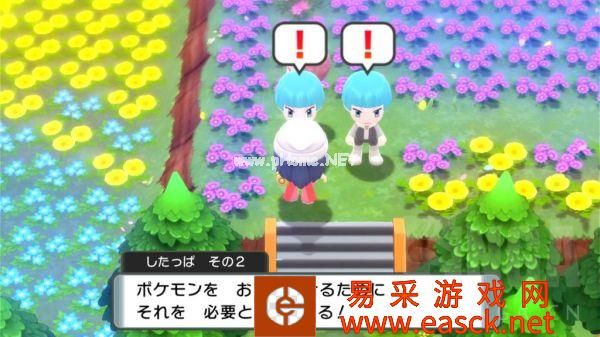 《宝可梦晶灿钻石明亮珍珠》百代道馆索诺花田攻略