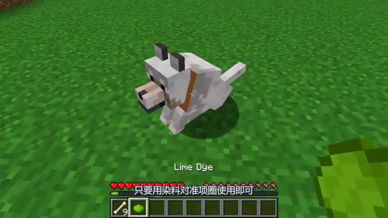 我的世界：你不知道的10件事，MC里所有的猪都是母猪？