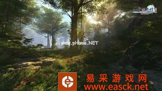 雾羽丘林