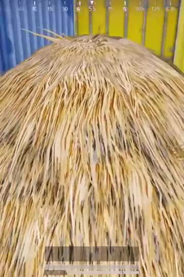 和平精英：进草堆对比，学生VS老师，看看老师怎么操作？