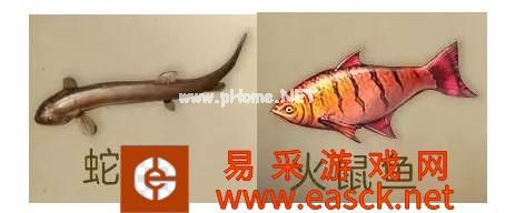 《明日之后》8月15日新增鱼种汇总 