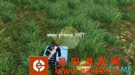 《明日之后》藏宝与寻宝怎么玩