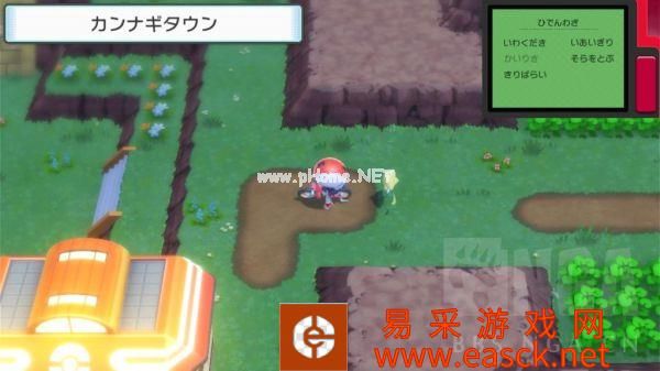 《宝可梦晶灿钻石明亮珍珠》家缘道馆210号道路北侧攻略