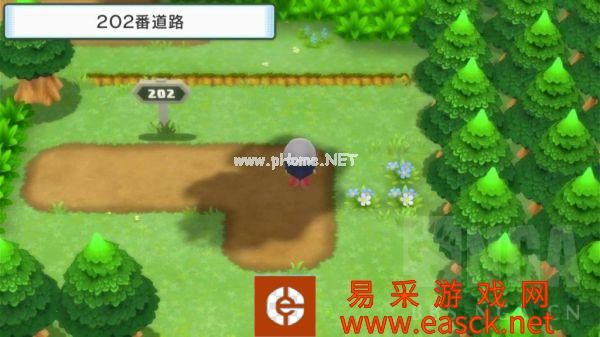 《宝可梦晶灿钻石明亮珍珠》真砂镇202号道路图文攻略