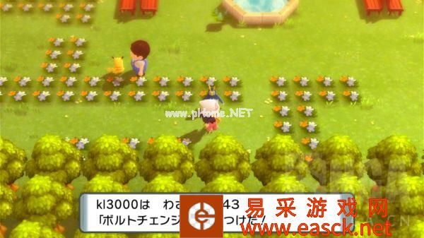 《宝可梦晶灿钻石明亮珍珠》道馆绿缘市图文攻略