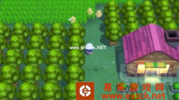 《宝可梦晶灿钻石明亮珍珠》家缘道馆湿原市攻略