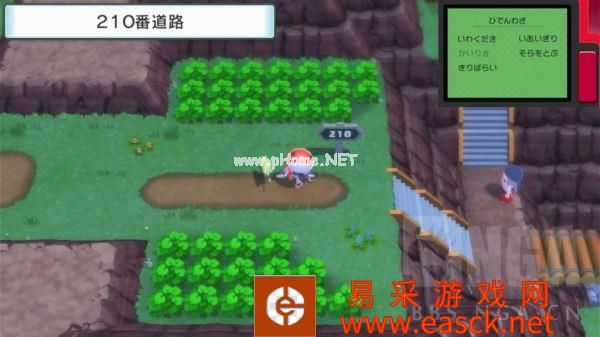 《宝可梦晶灿钻石明亮珍珠》家缘道馆210号道路北侧攻略
