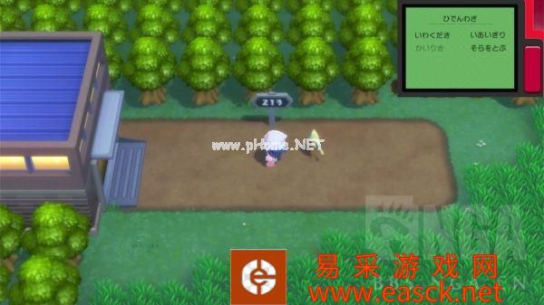 《宝可梦晶灿钻石明亮珍珠》立志湖畔213号道路攻略