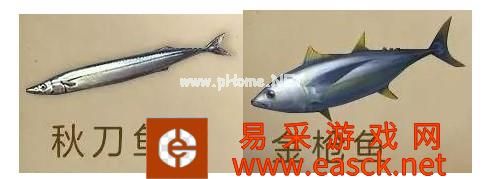 《明日之后》8月15日新增鱼种汇总 