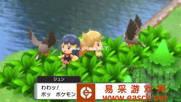 《宝可梦晶灿钻石明亮珍珠》201号道路心齐湖攻略
