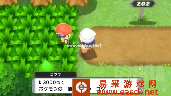 《宝可梦晶灿钻石明亮珍珠》真砂镇202号道路图文攻略