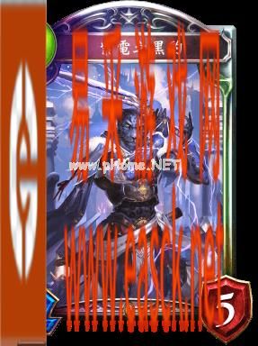 《影之诗》紫电之黑豹图鉴介绍