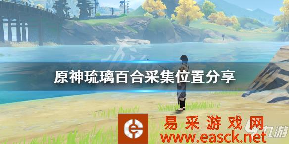 《原神》琉璃百合哪里最多