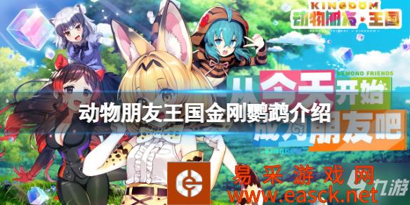 《动物朋友王国》金刚鹦鹉怎么样 金刚鹦鹉介绍