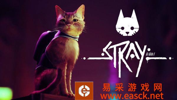 发行商确定游戏《Stray》仍会在2022年发售