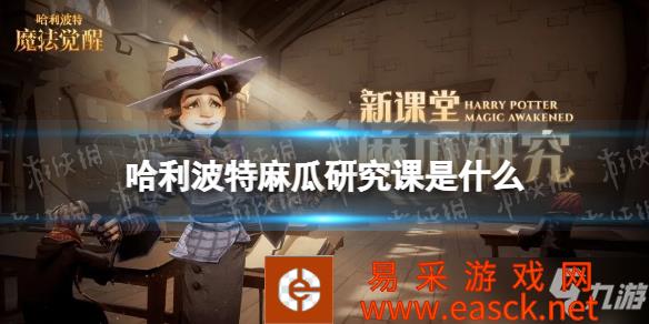 《哈利波特》麻瓜研究课介绍 麻瓜研究课是什么