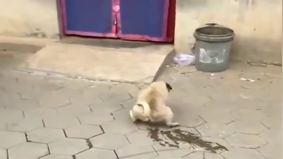 玩了一天，回来就成这样了