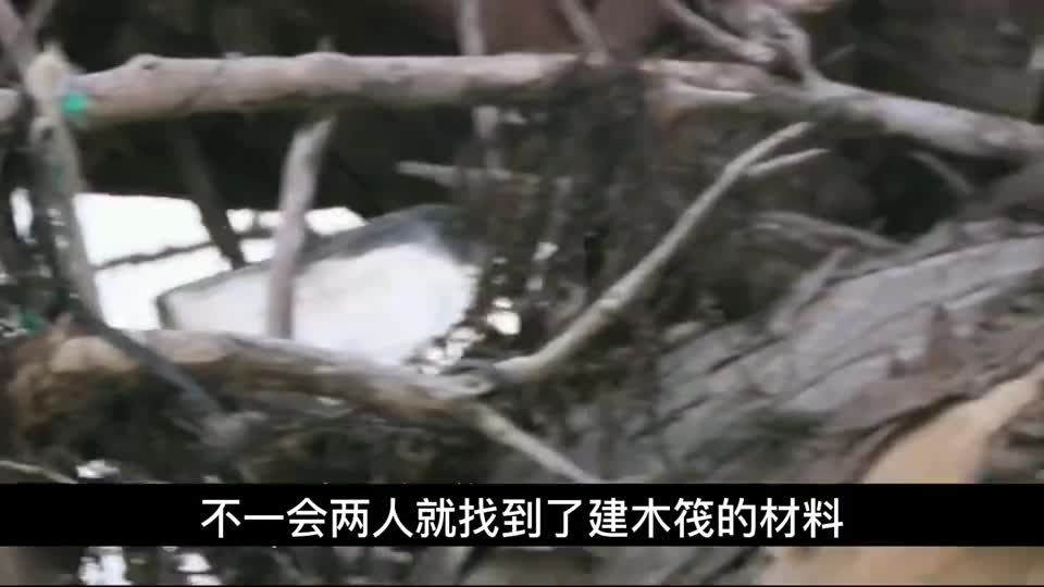 陌生男女组队荒岛求生，男主中途丢下女主一人完成挑战荒岛求生荒岛生存求生