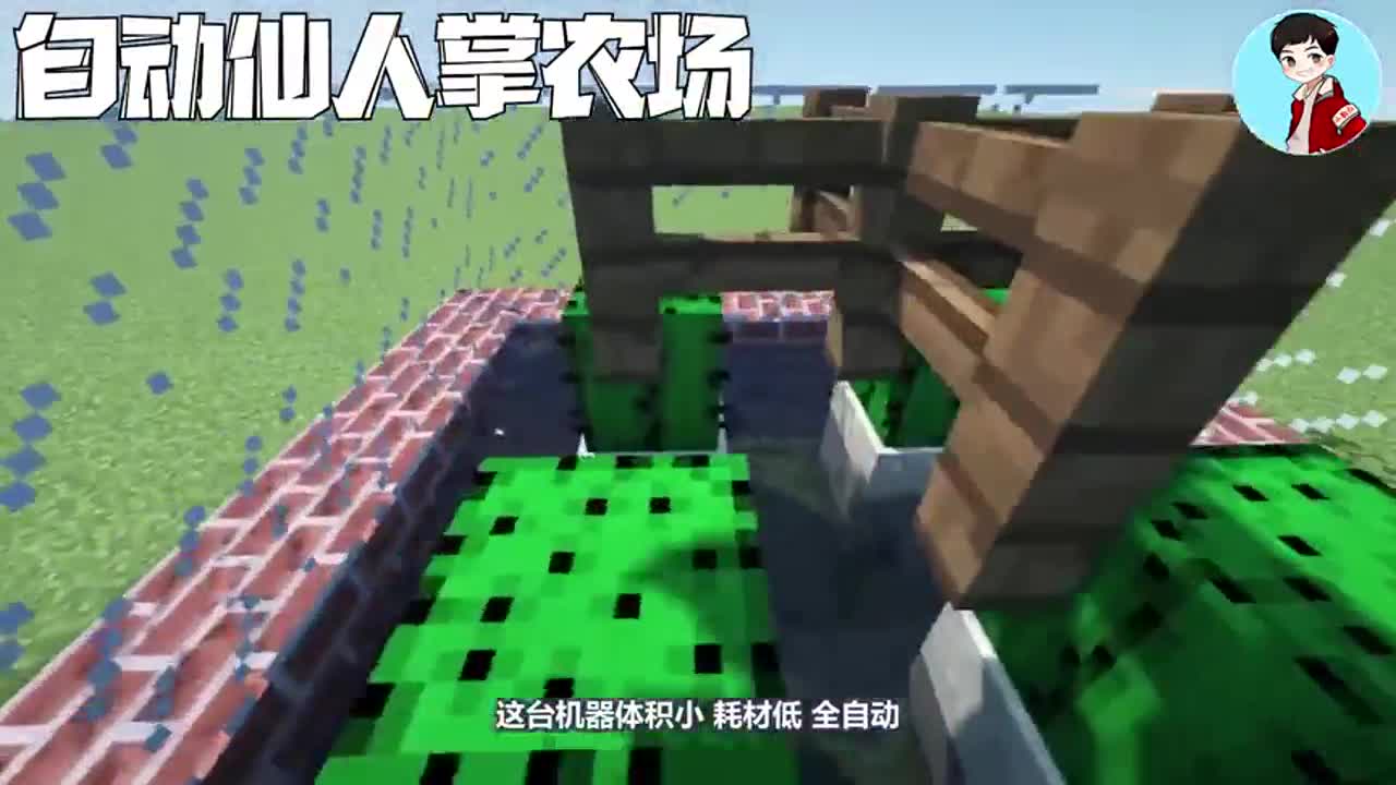我的世界：你不知道的小知识，全自动仙人掌农场竟然还能这样建造