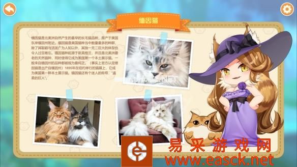 猫咪小姐2游戏介绍