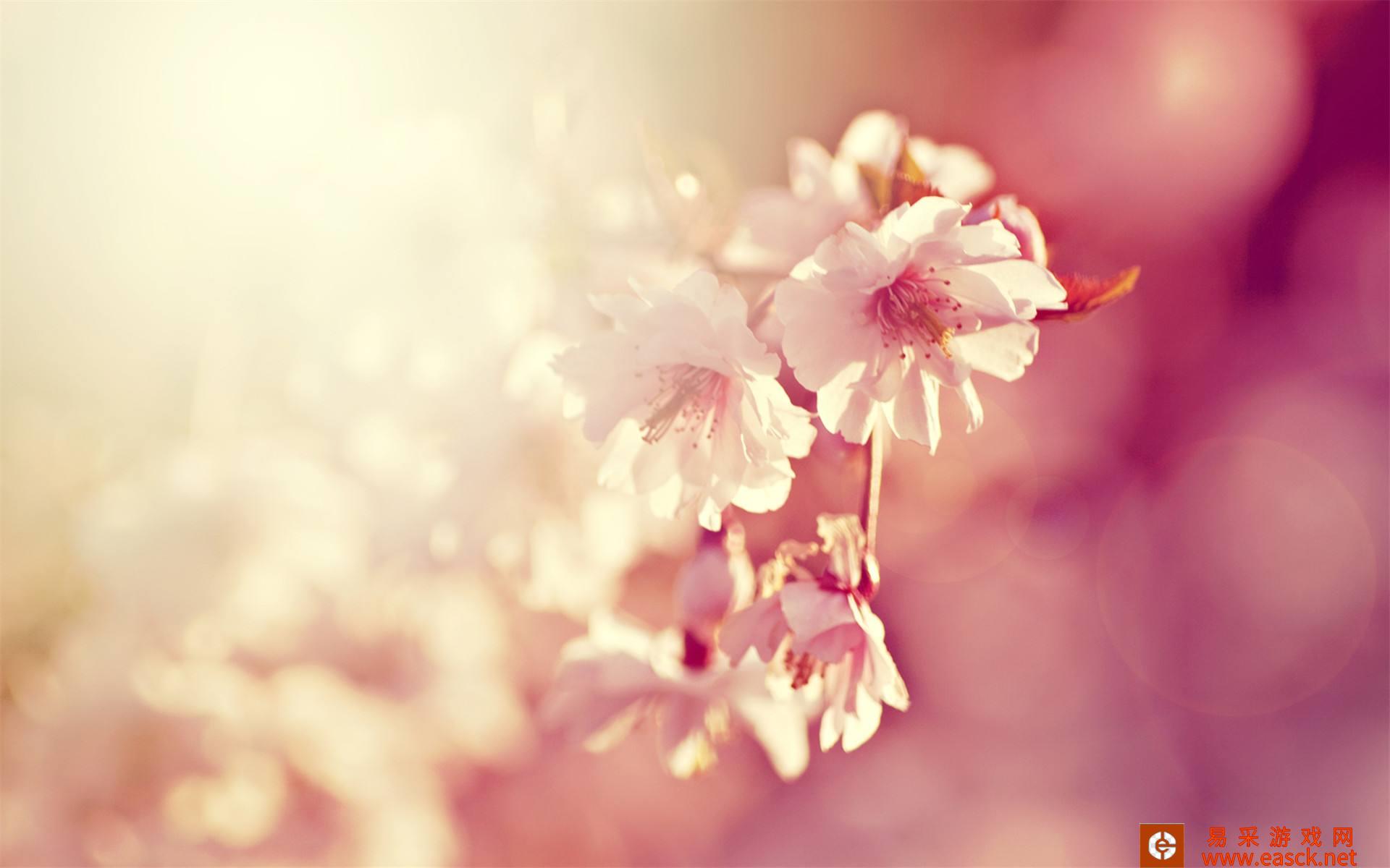 /handbook/2022/03-13/12919.shtml