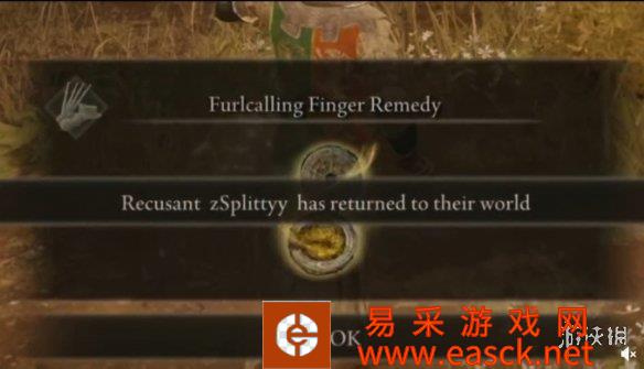 baby的外乡人！《艾尔登法环》玩家装扮NPC骗过入侵者